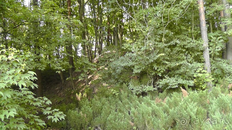 Парк Тростянец - зеленый памятник человеческому труду и природе.