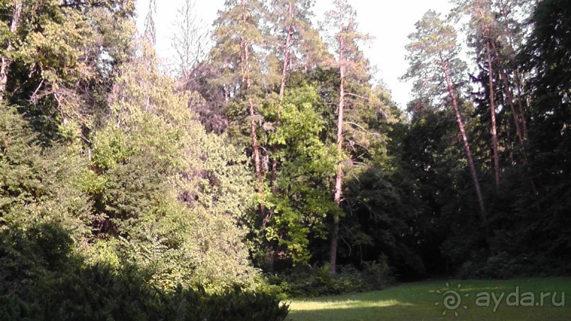 Парк Тростянец - зеленый памятник человеческому труду и природе.