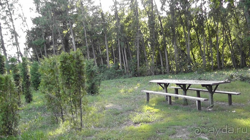 Парк Тростянец - зеленый памятник человеческому труду и природе.