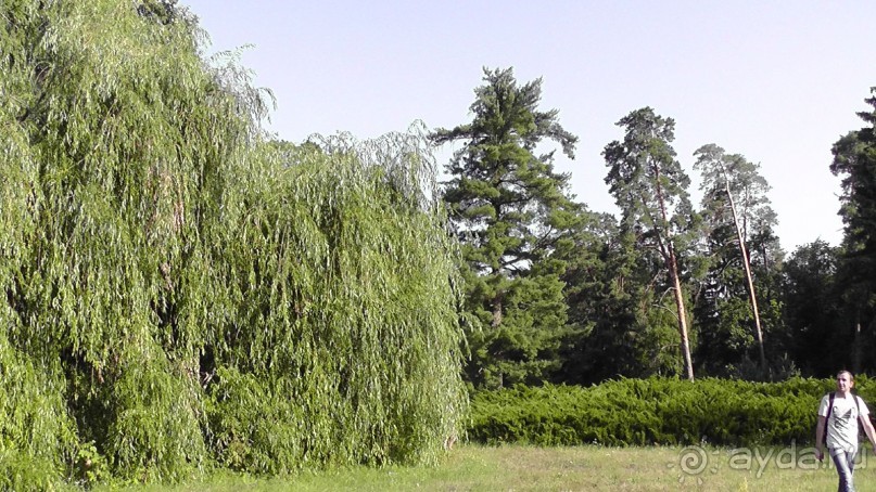 Парк Тростянец - зеленый памятник человеческому труду и природе.