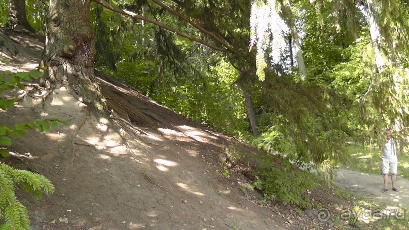 Парк Тростянец - зеленый памятник человеческому труду и природе.