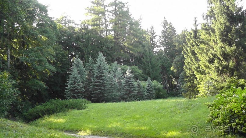 Парк Тростянец - зеленый памятник человеческому труду и природе.