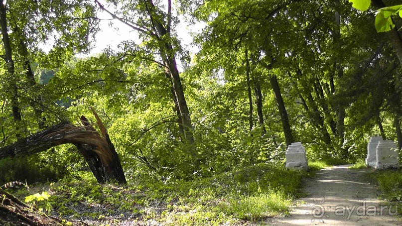 Парк Тростянец - зеленый памятник человеческому труду и природе.