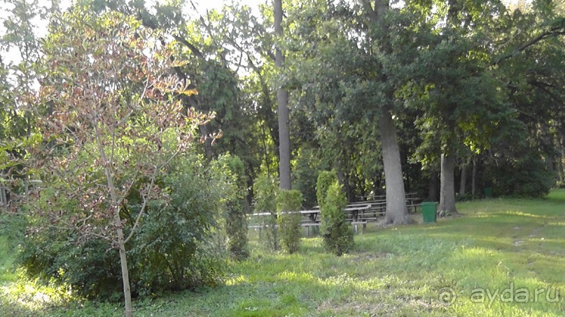 Парк Тростянец - зеленый памятник человеческому труду и природе.