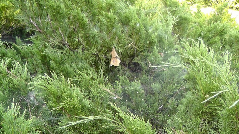 Парк Тростянец - зеленый памятник человеческому труду и природе.