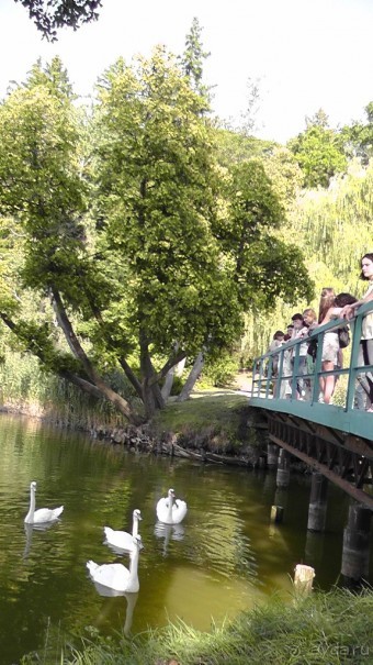Парк Тростянец - зеленый памятник человеческому труду и природе.