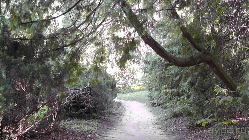 Парк Тростянец - зеленый памятник человеческому труду и природе.