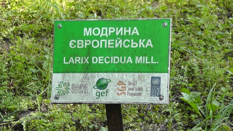 Парк Тростянец - зеленый памятник человеческому труду и природе.