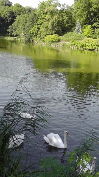 Парк Тростянец - зеленый памятник человеческому труду и природе.