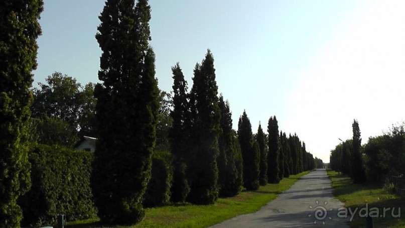 Парк Тростянец - зеленый памятник человеческому труду и природе.