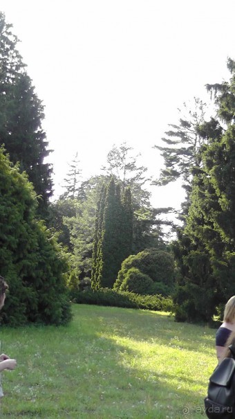 Парк Тростянец - зеленый памятник человеческому труду и природе.