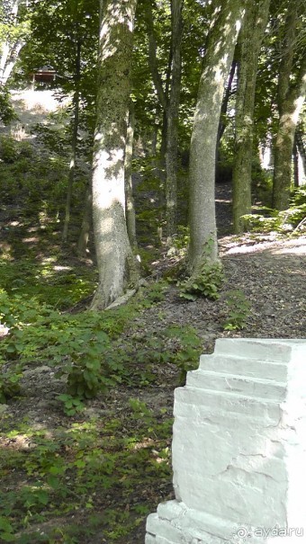 Парк Тростянец - зеленый памятник человеческому труду и природе.