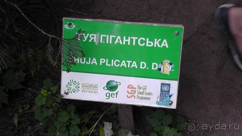 Парк Тростянец - зеленый памятник человеческому труду и природе.