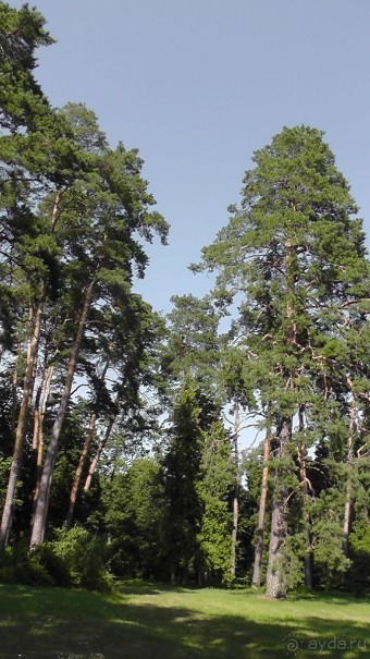 Парк Тростянец - зеленый памятник человеческому труду и природе.