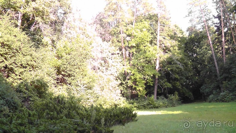 Парк Тростянец - зеленый памятник человеческому труду и природе.