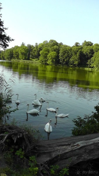 Парк Тростянец - зеленый памятник человеческому труду и природе.