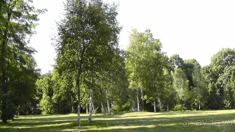 Парк Тростянец - зеленый памятник человеческому труду и природе.