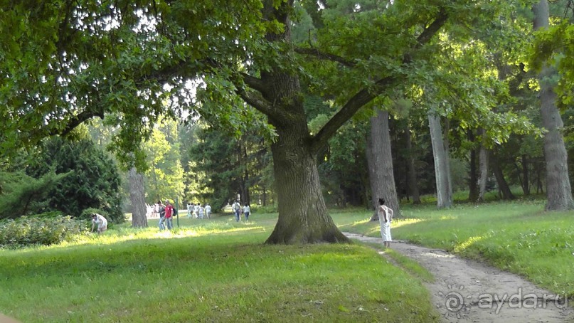 Парк Тростянец - зеленый памятник человеческому труду и природе.