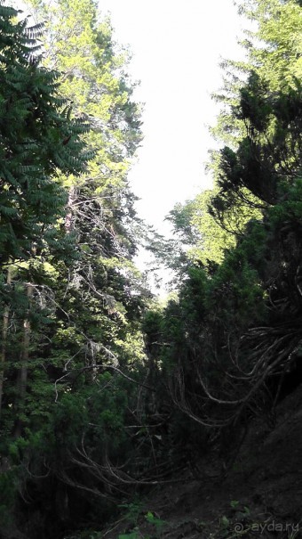 Парк Тростянец - зеленый памятник человеческому труду и природе.