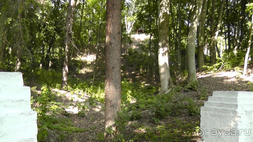 Парк Тростянец - зеленый памятник человеческому труду и природе.