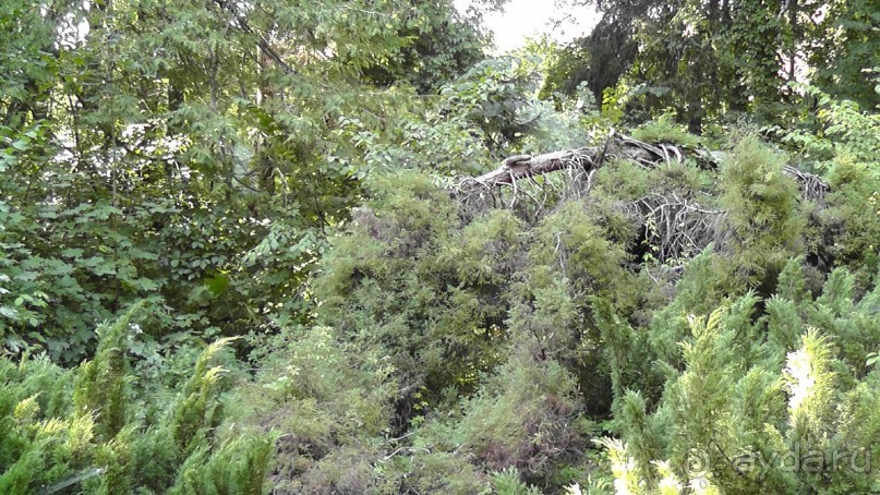 Парк Тростянец - зеленый памятник человеческому труду и природе.
