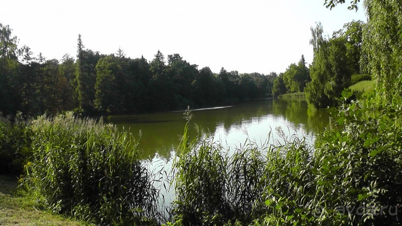 Парк Тростянец - зеленый памятник человеческому труду и природе.