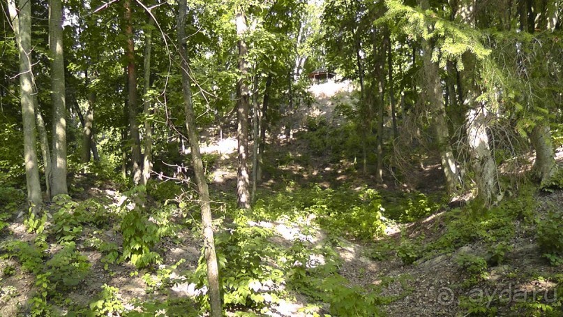 Парк Тростянец - зеленый памятник человеческому труду и природе.