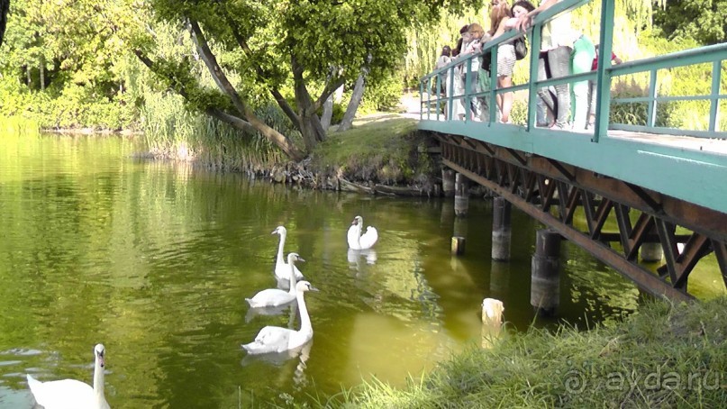 Парк Тростянец - зеленый памятник человеческому труду и природе.