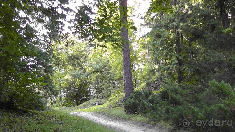 Парк Тростянец - зеленый памятник человеческому труду и природе.