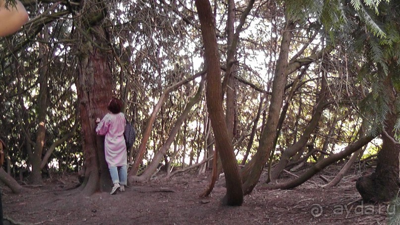 Парк Тростянец - зеленый памятник человеческому труду и природе.