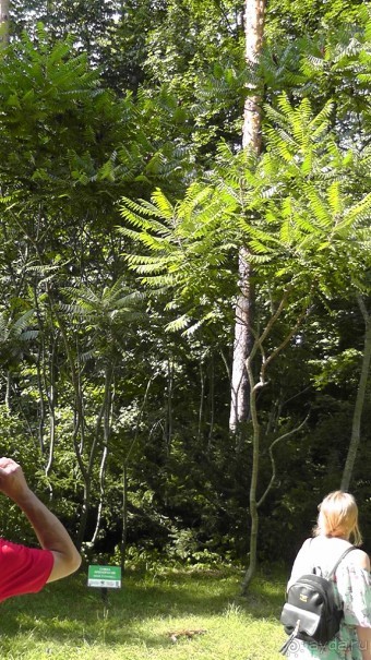 Парк Тростянец - зеленый памятник человеческому труду и природе.