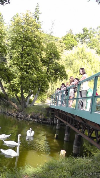 Парк Тростянец - зеленый памятник человеческому труду и природе.