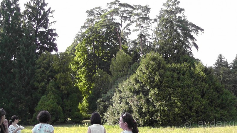 Парк Тростянец - зеленый памятник человеческому труду и природе.