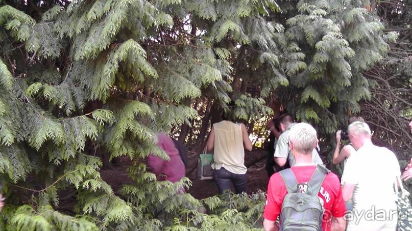 Парк Тростянец - зеленый памятник человеческому труду и природе.