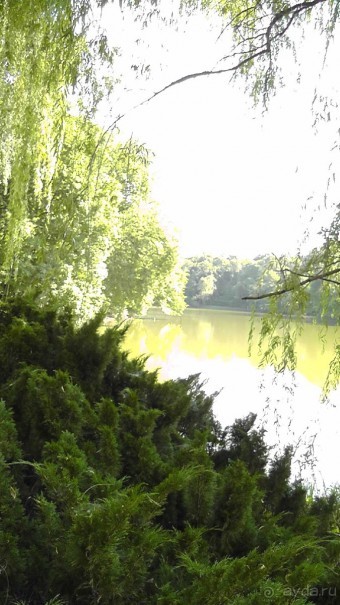 Парк Тростянец - зеленый памятник человеческому труду и природе.