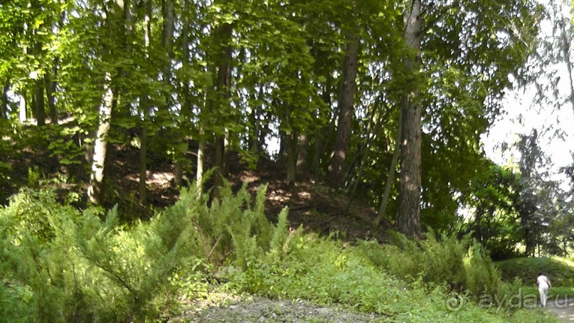 Парк Тростянец - зеленый памятник человеческому труду и природе.