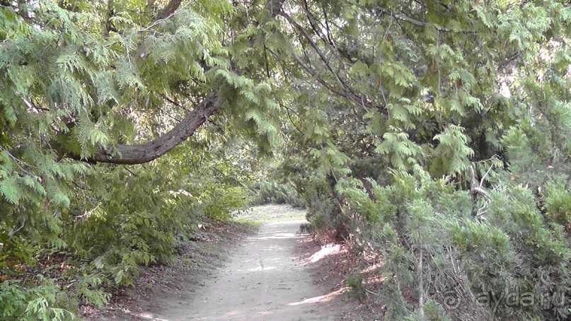 Парк Тростянец - зеленый памятник человеческому труду и природе.