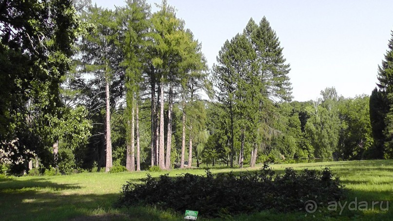 Парк Тростянец - зеленый памятник человеческому труду и природе.