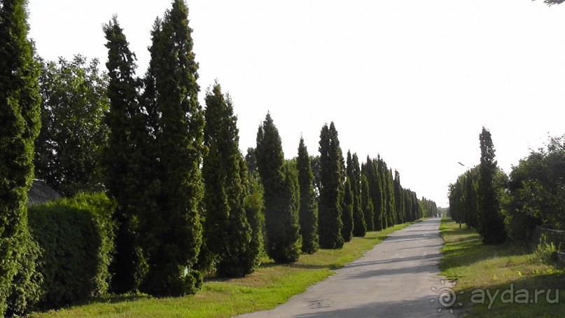 Парк Тростянец - зеленый памятник человеческому труду и природе.