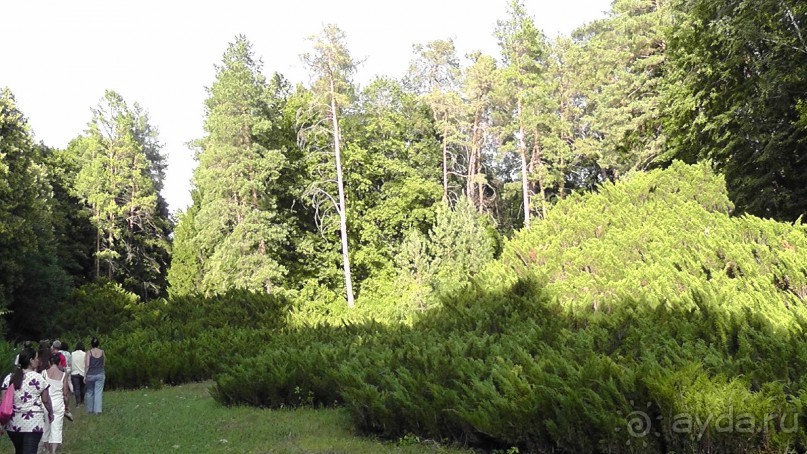 Парк Тростянец - зеленый памятник человеческому труду и природе.