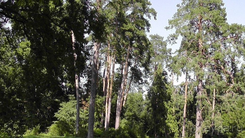Парк Тростянец - зеленый памятник человеческому труду и природе.