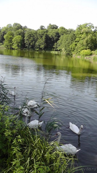 Парк Тростянец - зеленый памятник человеческому труду и природе.
