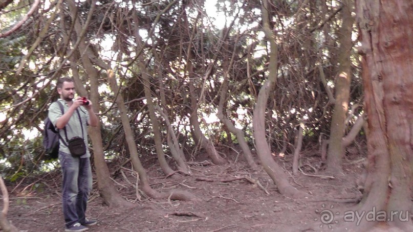 Парк Тростянец - зеленый памятник человеческому труду и природе.