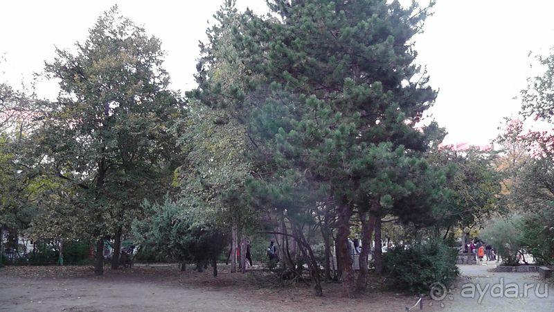 Берлин, Германия. Где живут сами берлинцы, район Пренцлауэерберг.