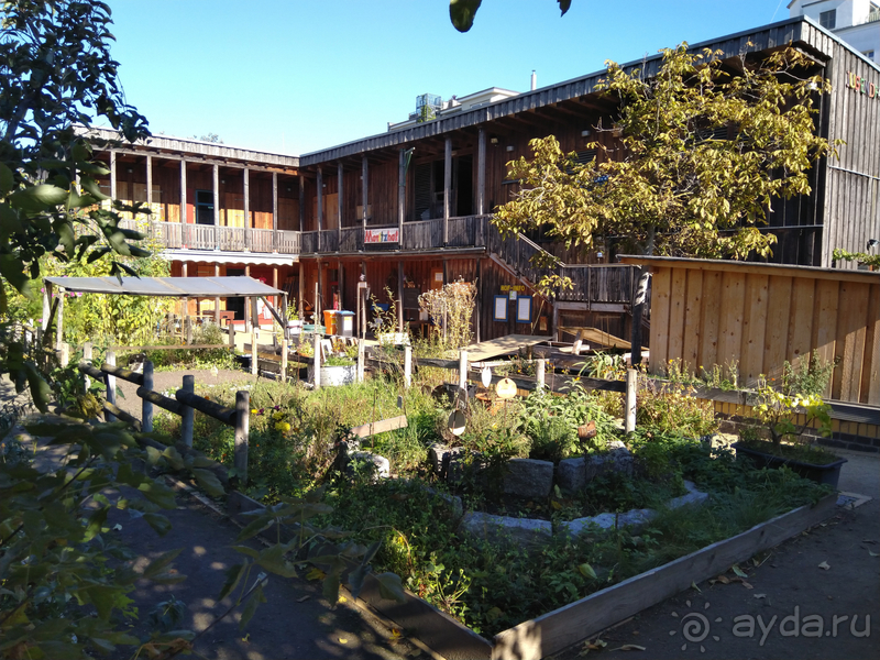 Берлин, Германия. Где живут сами берлинцы, район Пренцлауэерберг.