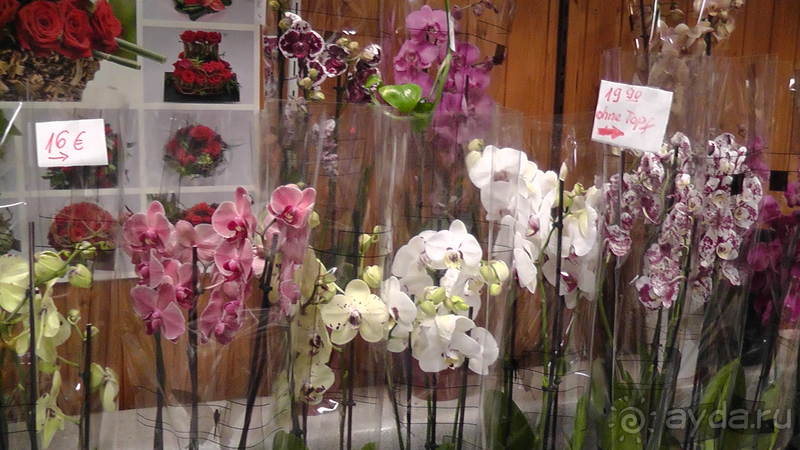 Берлин, Германия. Где живут сами берлинцы, район Пренцлауэерберг.