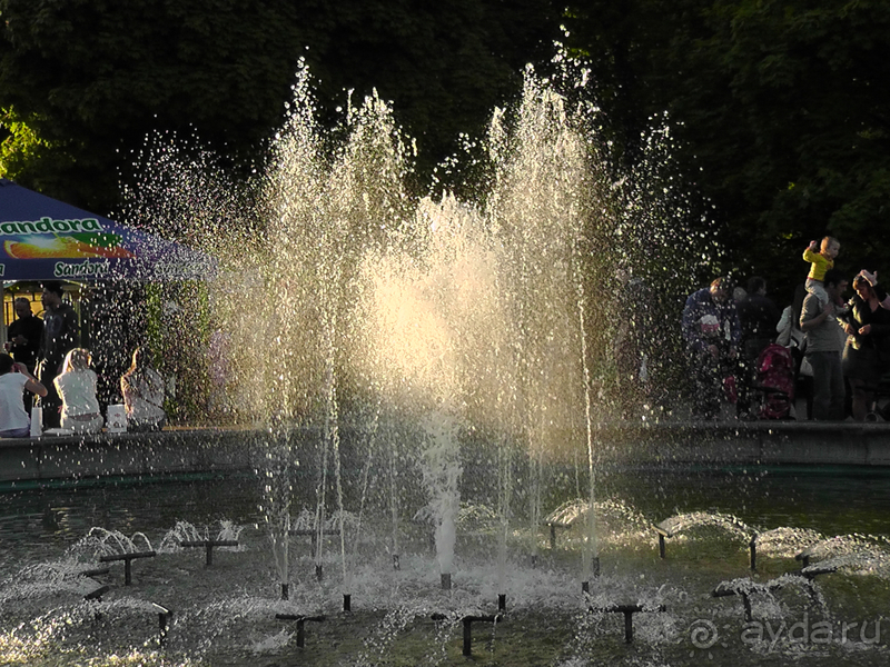  Ботанический сад, Киев. Весна-лето, осень-зима, а в середине Вечность! Лето.