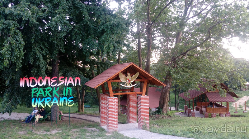  Ботанический сад, Киев. Весна-лето, осень-зима, а в середине Вечность! Лето.