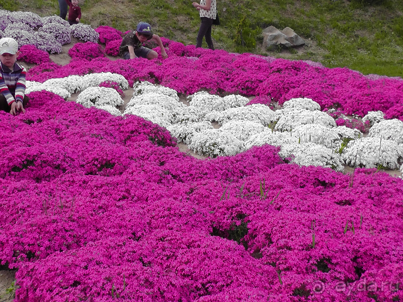  Ботанический сад, Киев. Весна-лето, осень-зима, а в середине Вечность! Лето.