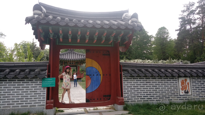  Ботанический сад, Киев. Весна-лето, осень-зима, а в середине Вечность! Лето.